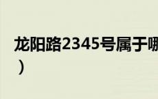 龙阳路2345号属于哪个街道（龙阳路2345号）