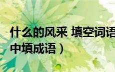 什么的风采 填空词语（()的风采()的风采括号中填成语）