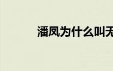 潘凤为什么叫无双上将（潘凤）