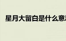 星月大留白是什么意思（留白是什么意思）