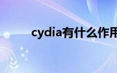 cydia有什么作用（cydia是什么）