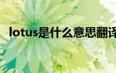 lotus是什么意思翻译（lotus是什么意思）
