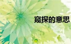 窥探的意思（窥的意思）