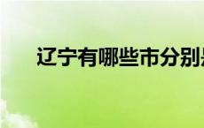 辽宁有哪些市分别是（辽宁有哪些市）
