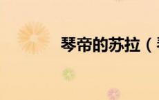 琴帝的苏拉（琴帝苏拉失身）