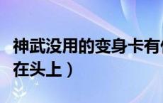 神武没用的变身卡有什么用（神武变身卡怎么在头上）