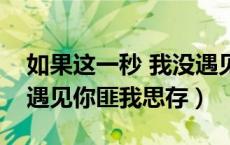 如果这一秒 我没遇见你（如果这一秒我没有遇见你匪我思存）