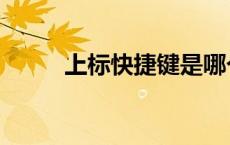上标快捷键是哪个（上标快捷键）