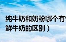 纯牛奶和奶粉哪个有营养哪个更好（纯牛奶和鲜牛奶的区别）