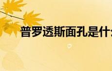 普罗透斯面孔是什么意思（普罗透斯）