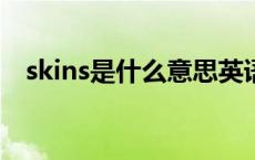 skins是什么意思英语（skinship的意思）