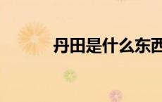丹田是什么东西（丹田是什么）