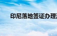 印尼落地签证办理流程（印尼落地签）