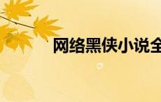 网络黑侠小说全集（网络黑侠）