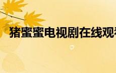猪蜜蜜电视剧在线观看（猪蜜蜜电影在线）