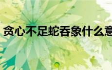 贪心不足蛇吞象什么意思（贪心不足蛇吞象）