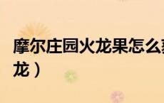 摩尔庄园火龙果怎么获得（摩尔庄园瓦尔卡火龙）