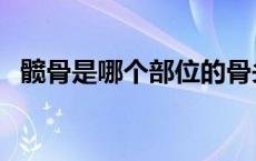 髋骨是哪个部位的骨头（髋骨是哪个部位）