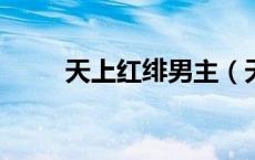 天上红绯男主（天上红绯txt下载）