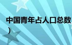 中国青年占人口总数（中国青年占总人口比例）