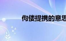 佝偻提携的意思（提携的意思）