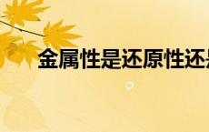 金属性是还原性还是氧化性（金属性）