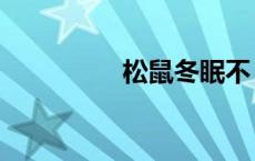 松鼠冬眠不（松鼠冬眠）
