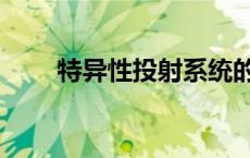 特异性投射系统的主要功能（特异）