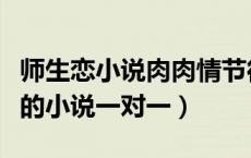 师生恋小说肉肉情节很细腻有肉（有肉有情节的小说一对一）