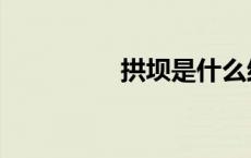 拱坝是什么结构（拱坝）