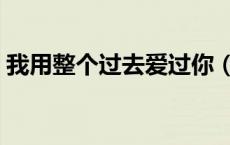 我用整个过去爱过你（我用整个曾经爱过你）