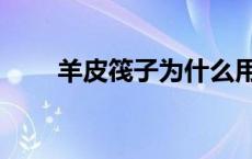 羊皮筏子为什么用公羊（羊皮筏子）