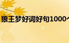 狼王梦好词好句1000个（狼王梦好词100个）