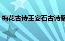梅花古诗王安石古诗翻译（梅花古诗王安石）