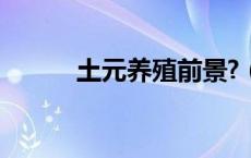 土元养殖前景?（土元养殖前景）