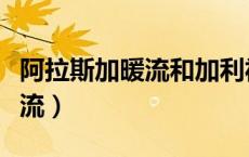 阿拉斯加暖流和加利福尼亚寒流（阿拉斯加暖流）