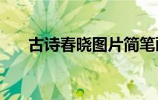 古诗春晓图片简笔画（古诗春晓图片）