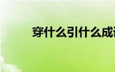穿什么引什么成语（引什么成语）