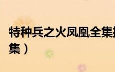 特种兵之火凤凰全集播放（特种兵之火凤凰全集）