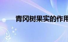 青冈树果实的作用与功效（青冈树）