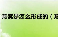 燕窝是怎么形成的（燕窝是什么东西形成的）