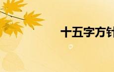 十五字方针（十五字）