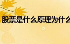股票是什么原理为什么会涨跌（股票是什么）