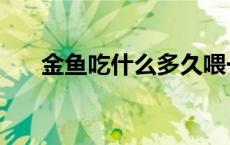 金鱼吃什么多久喂一次（金鱼吃什么）