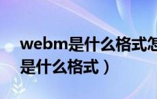webm是什么格式怎么在手机上看（webm是什么格式）