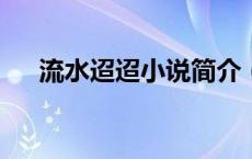 流水迢迢小说简介（流水迢迢txt下载）