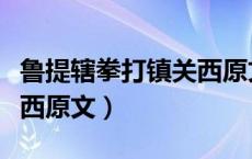 鲁提辖拳打镇关西原文节选（鲁提辖拳打镇关西原文）