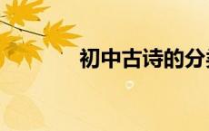 初中古诗的分类（诗的分类）