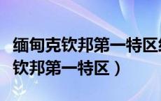 缅甸克钦邦第一特区经济管理委员会（缅甸克钦邦第一特区）