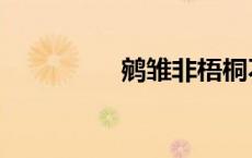 鹓雏非梧桐不止（鹓雏）